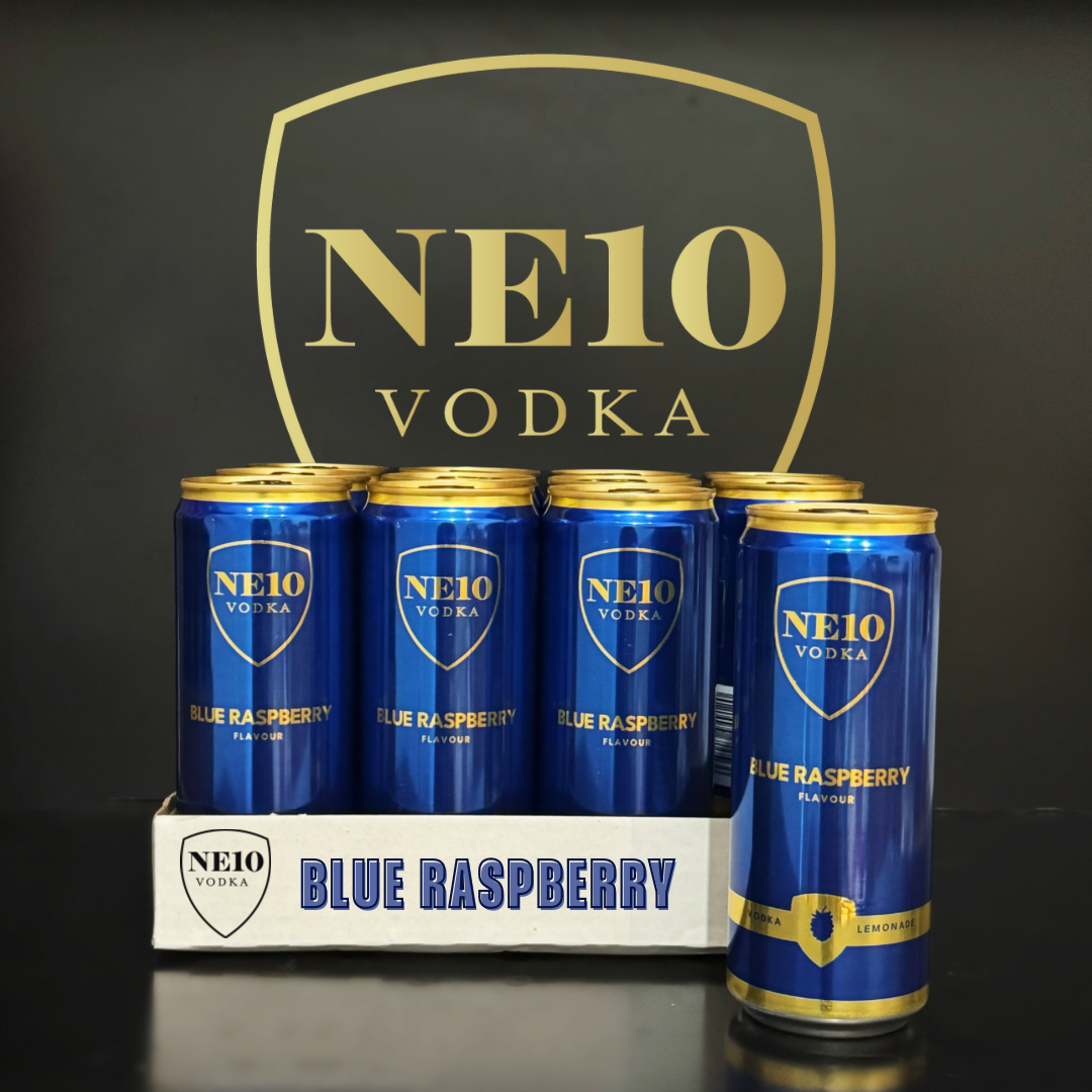 NE10 Vodka Blue Raspberry Pre-Mixed Cans 4.6ABV