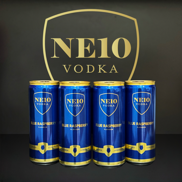 NE10 Vodka Blue Raspberry Pre-Mixed Cans 4.6ABV