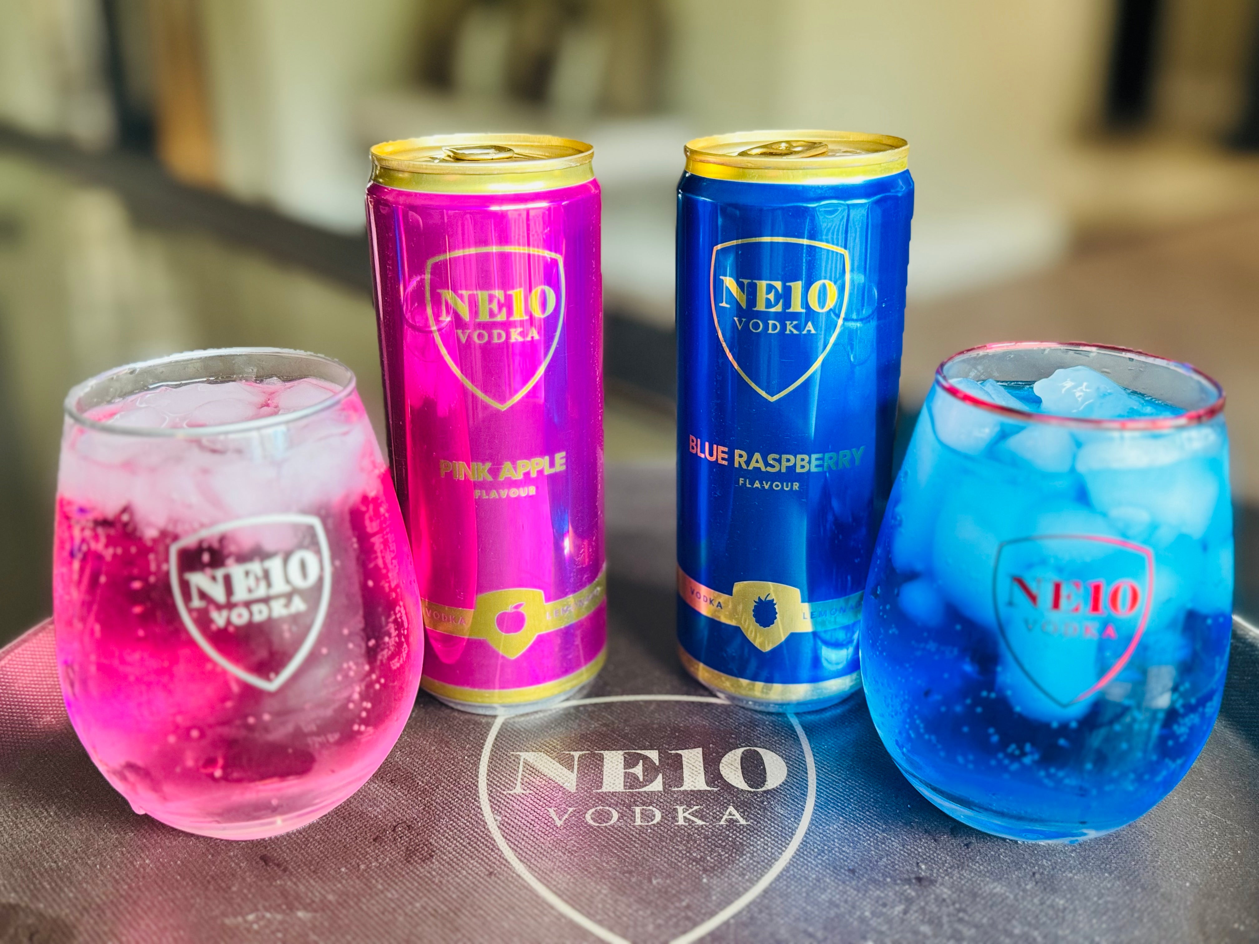 NE10 Vodka Pre-Mixed Cans Combo Offer – NE10vodka
